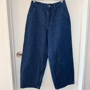 BOLONGARO TREVOR Anthropologie Super Wide Leg Jeans 27 100% Cotton